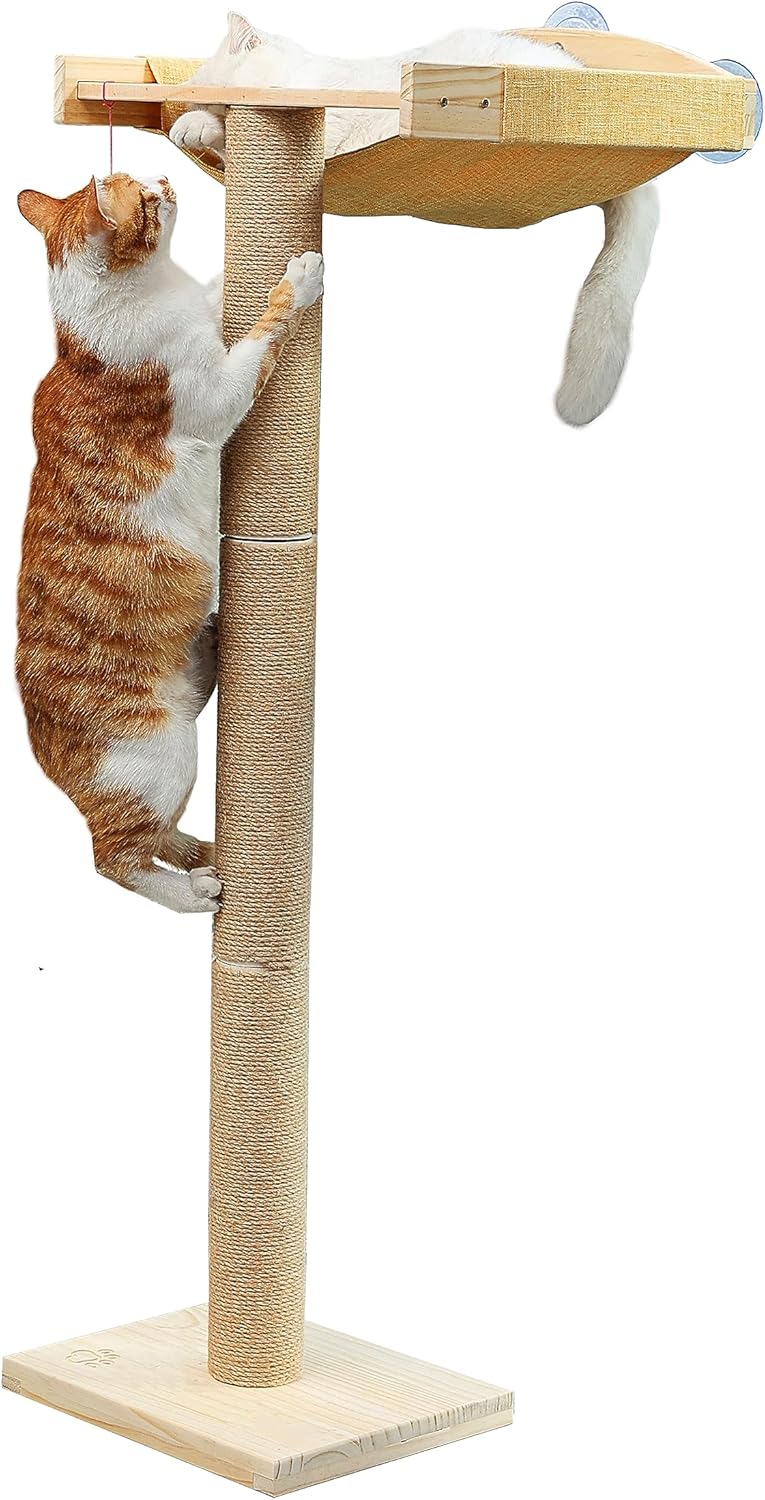 Cat Window Perch with Tall Scratching Posts for Cats' Fun