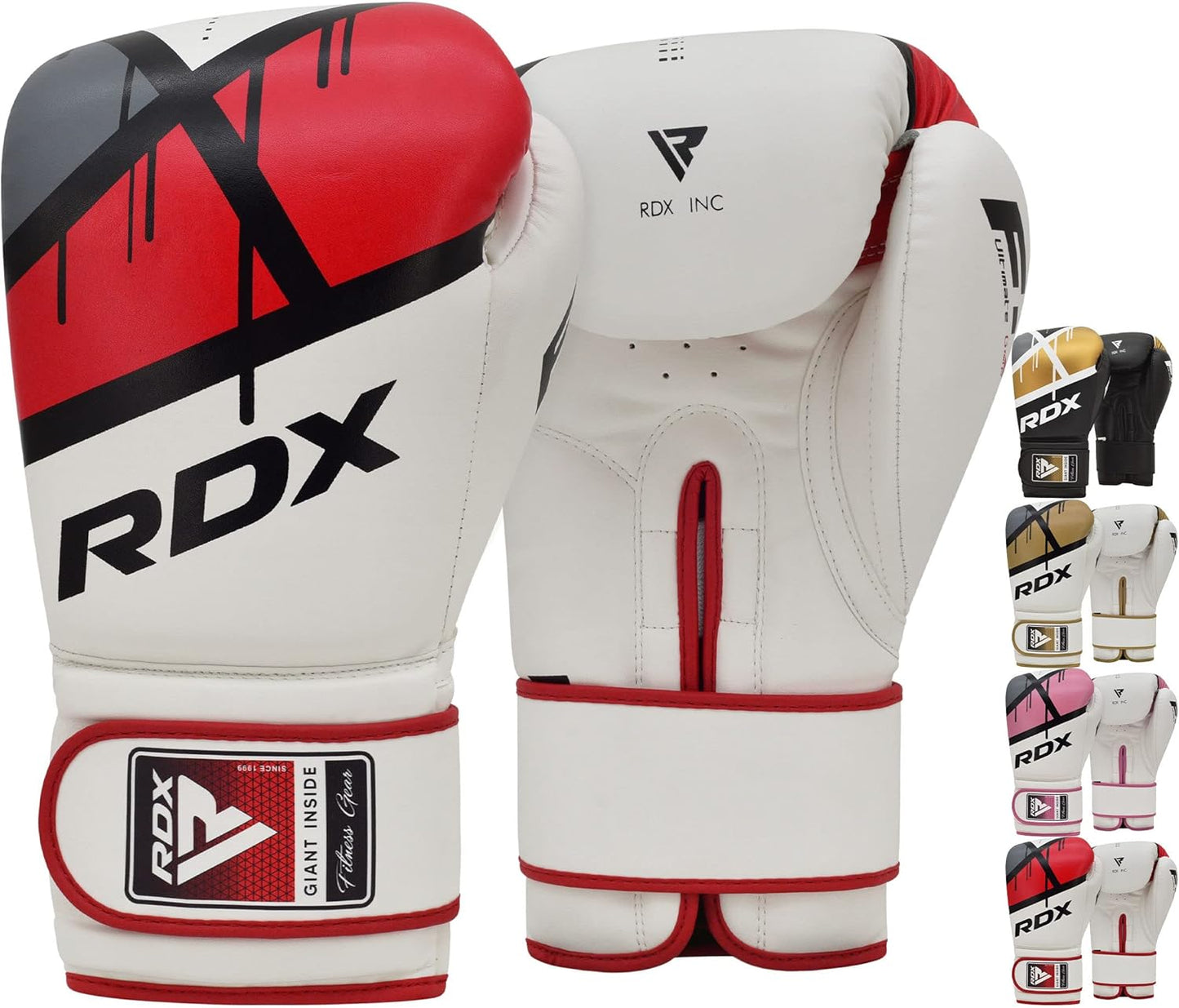 RDX EGO Boxing Gloves for Sparring and Heavy Training Use