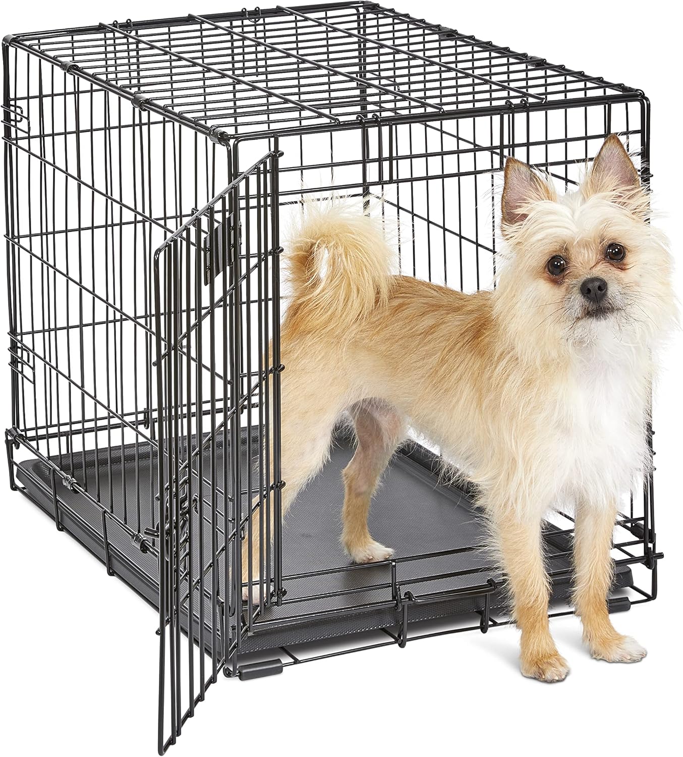 MidWest Homes for Pets 24-Inch iCrate Folding Dog Crate Review