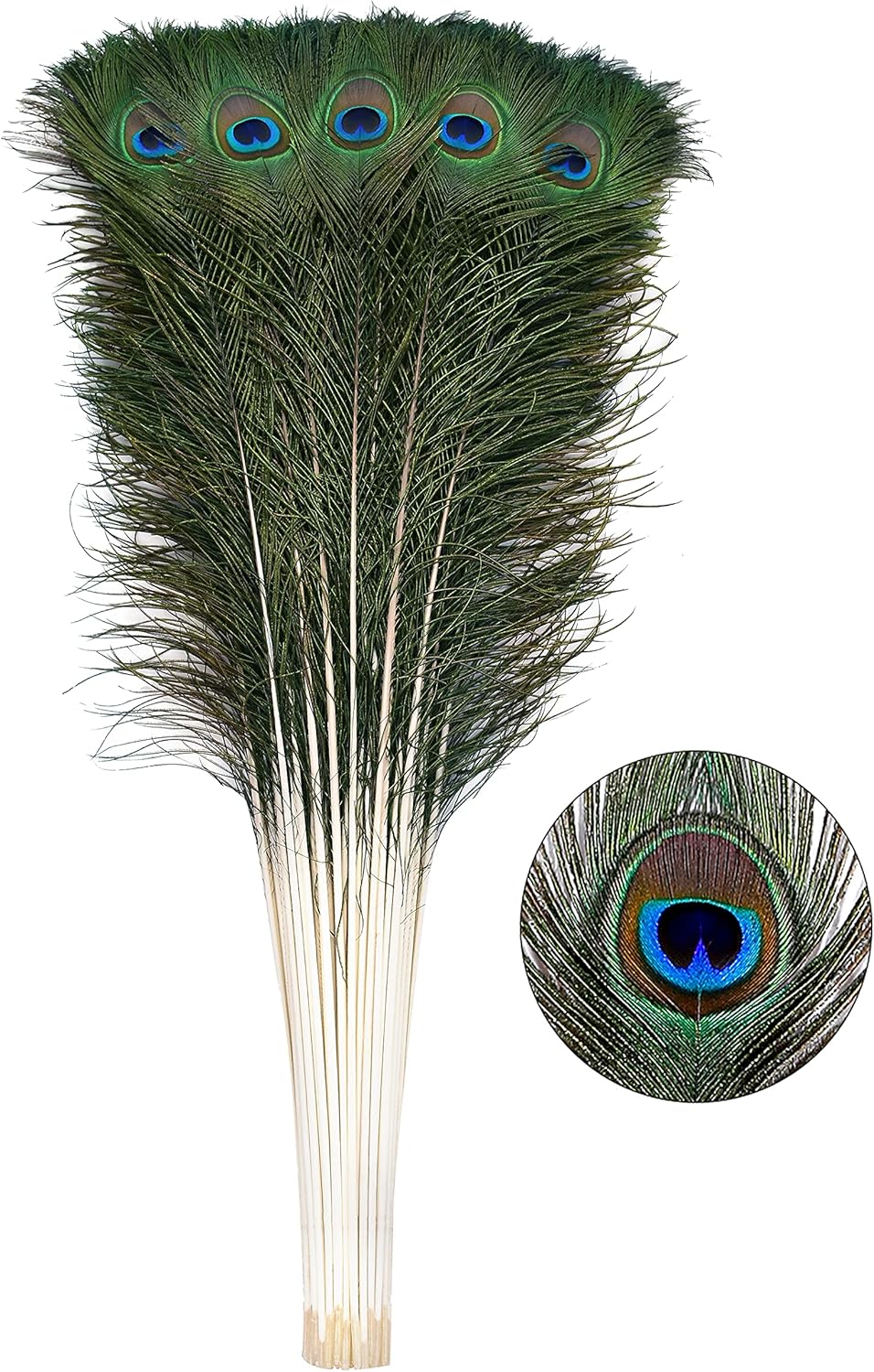 Natural Peacock Feathers for DIY Craft and Wedding Decor