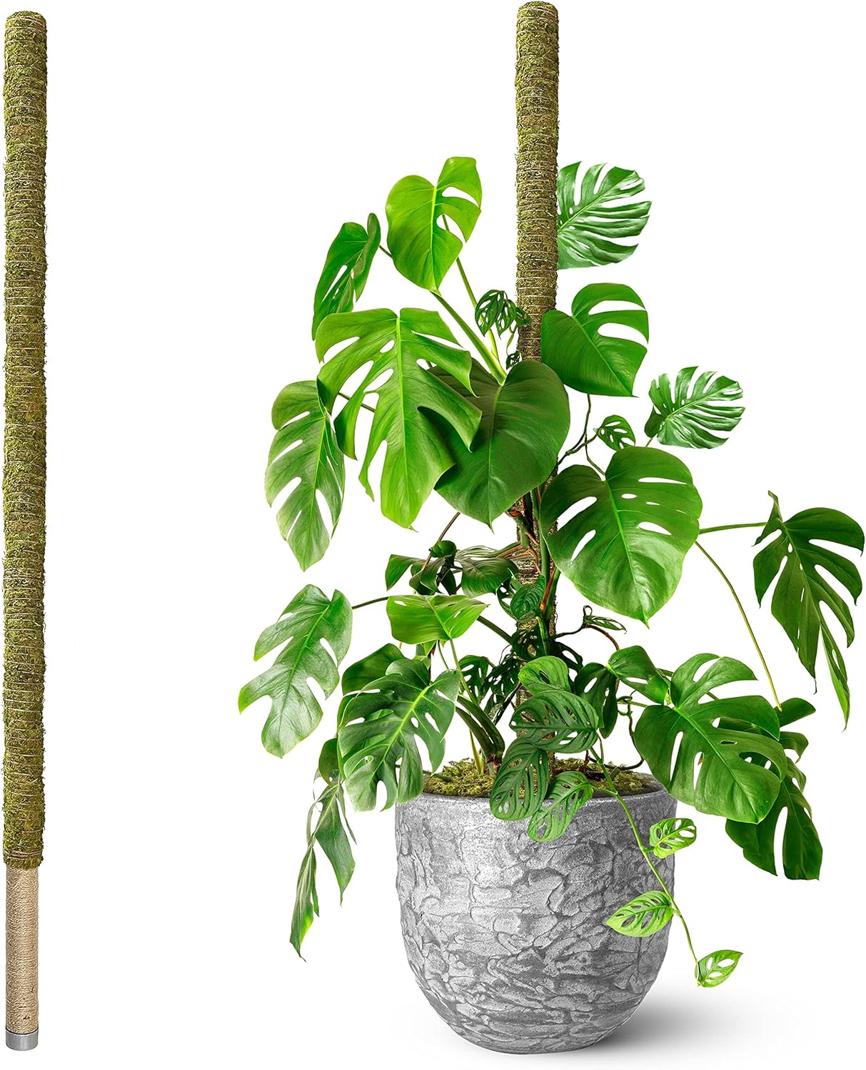 DUSPRO 80 Inches Large Moss Pole for Plants Support