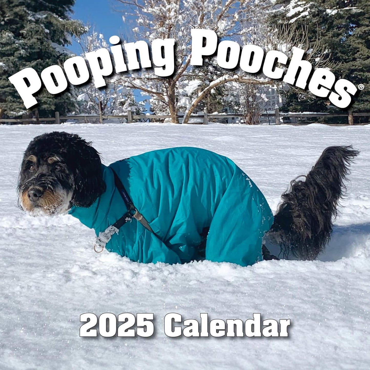 Pooping Pooches Calendar: Hilarious White Elephant Gift!