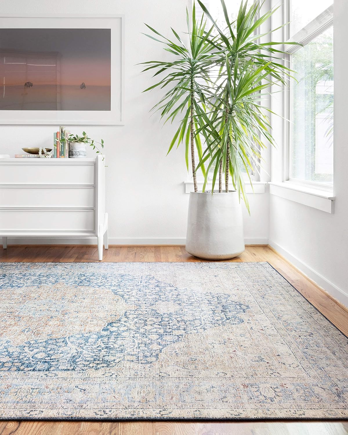 Loloi Layla Collection Area Rug - Vintage Inspired Design