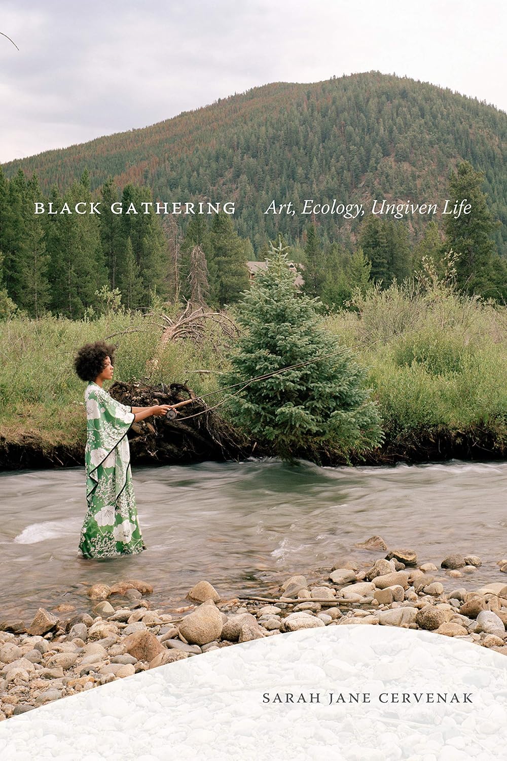 Black Gathering: Art, Ecology, and the Ungiven Life Explored