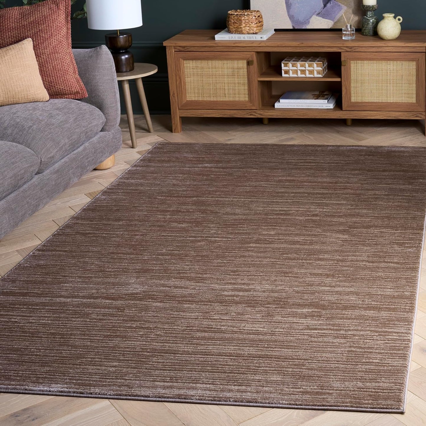 SAFAVIEH Vision Collection Accent Rug - Modern Ombre Chic Design