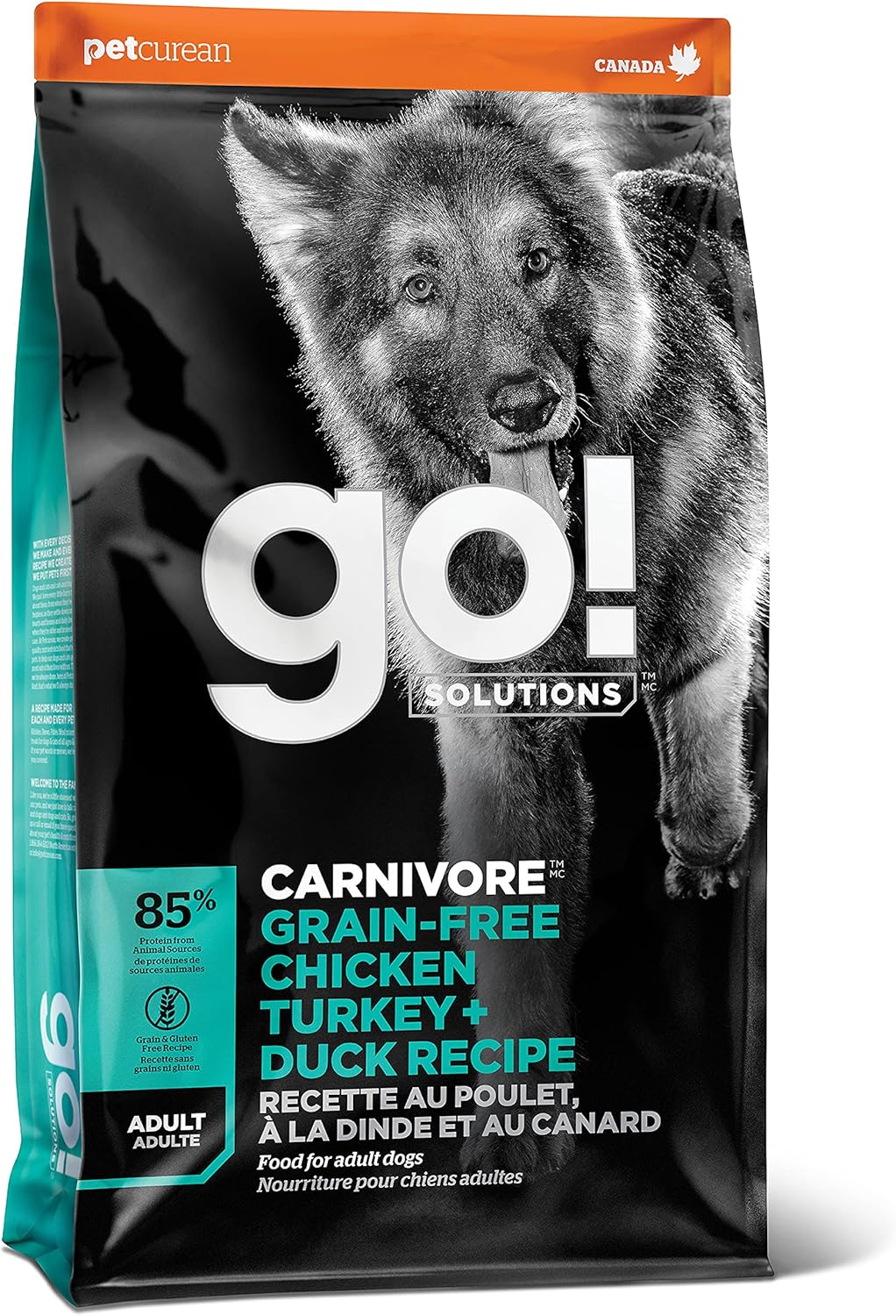Go! Solutions Carnivore Grain-Free Protein Rich Dog Food Review
