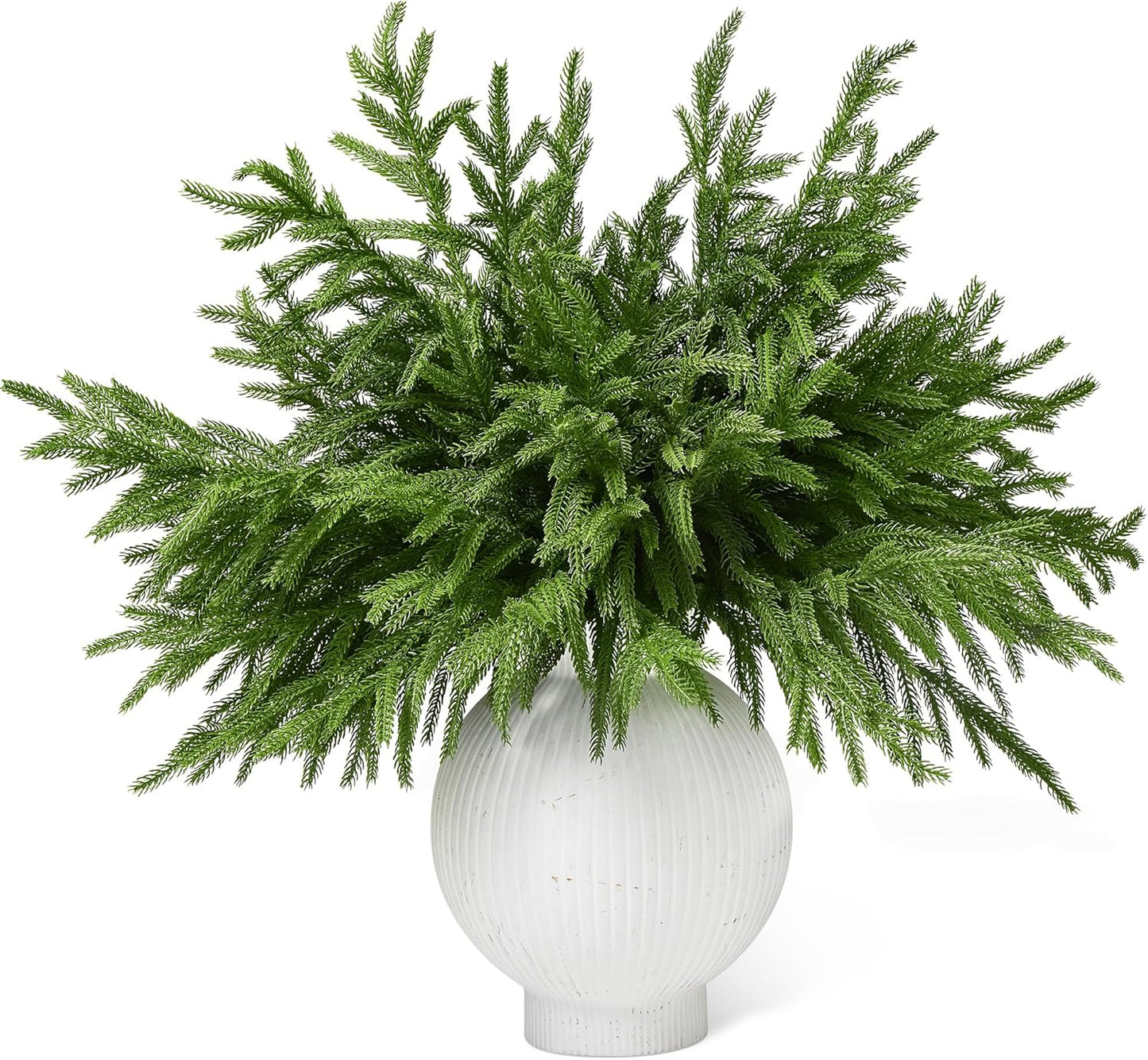 WeGuard 32 Pcs Real Touch Norfolk Pine Branches for Decor