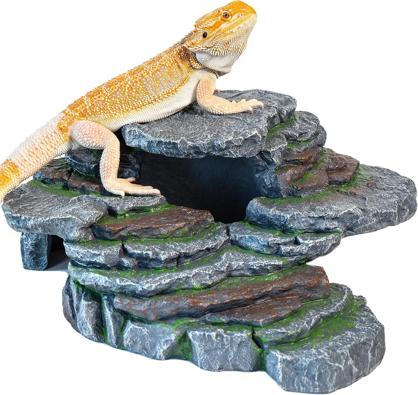 Extra Large Reptile Hide for Bearded Dragons and Small Pets