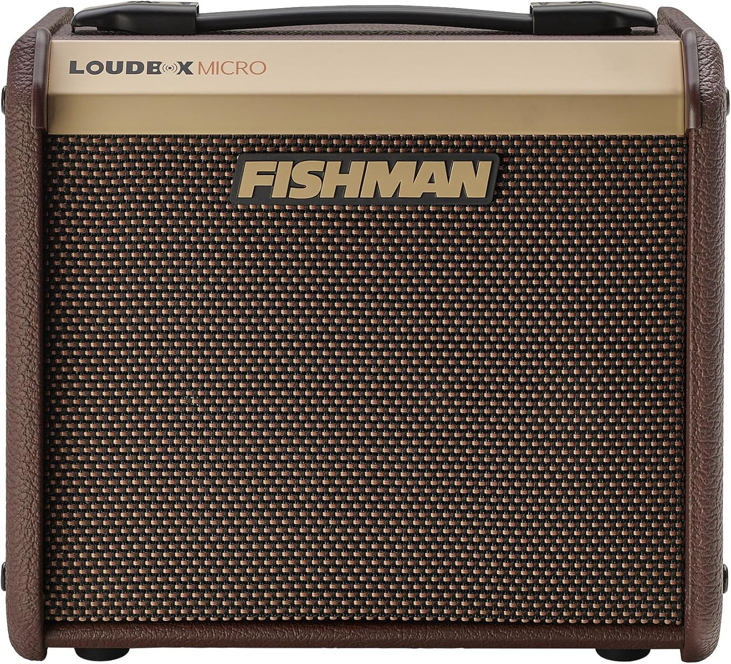 Fishman Micro Amp: Powerful 40W Acoustic Sound