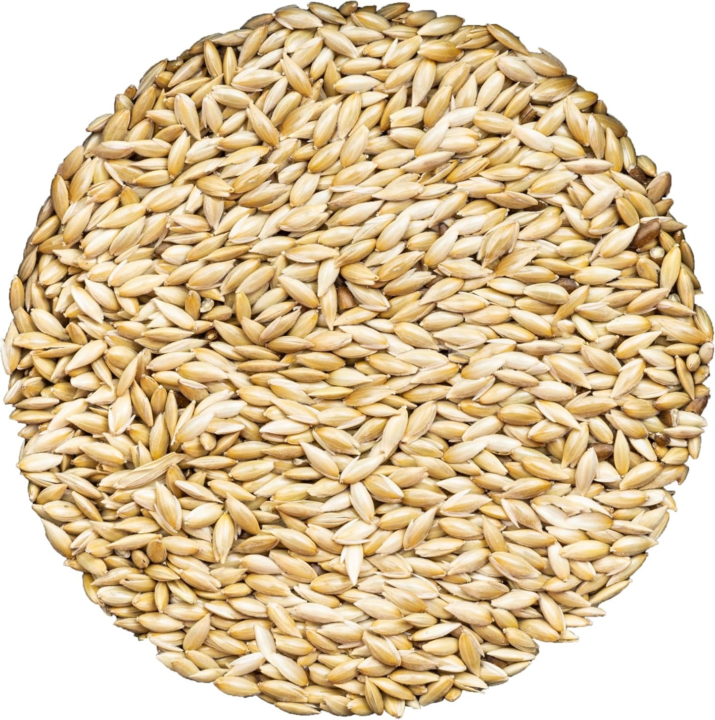 Unida Alpiste Canary Seed for Birds 10 lbs Natural Bird Food