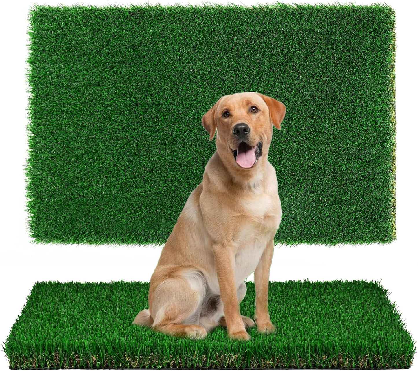 Fake Grass Pee Pad for Dogs - Perfect for Indoor and Outdoor Use