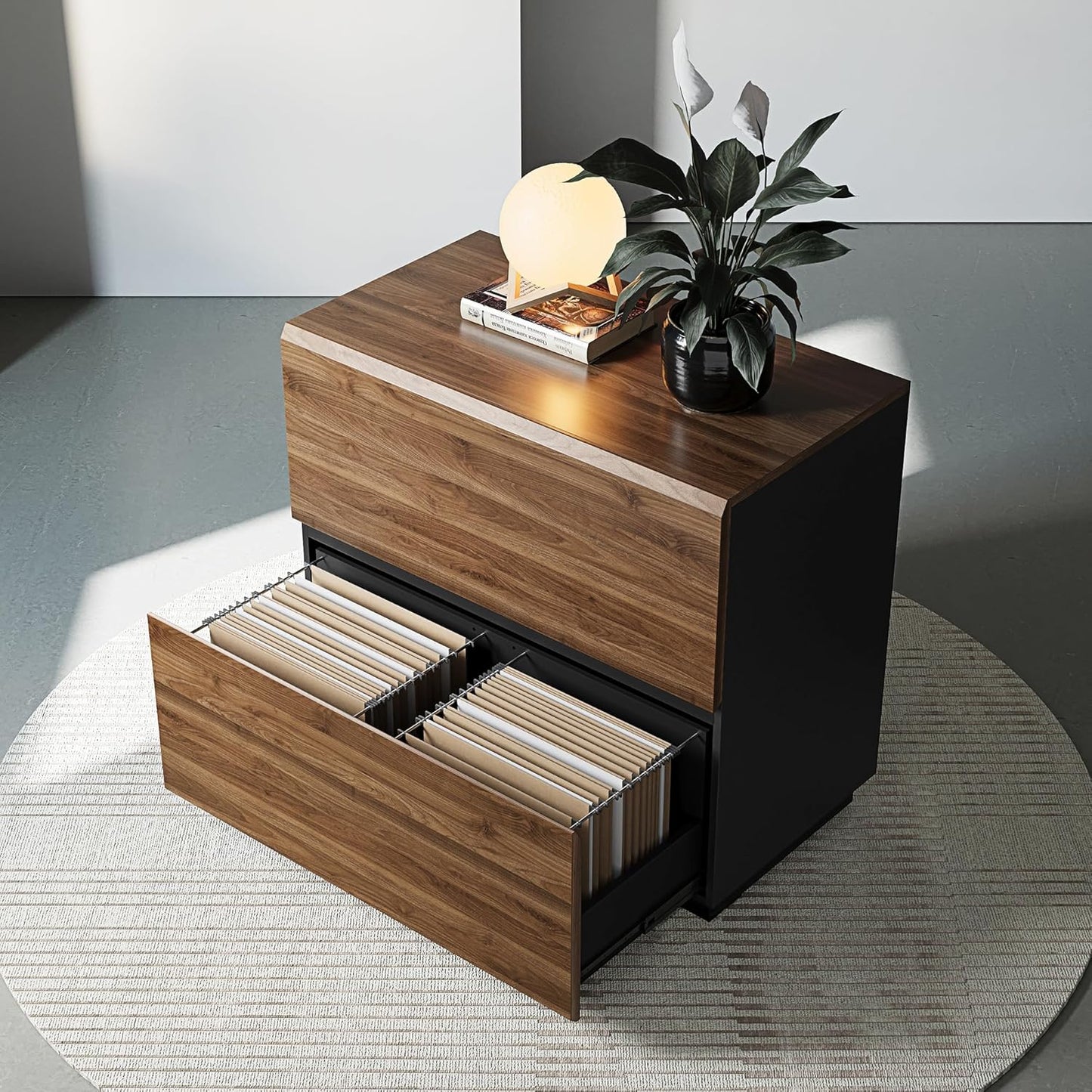 2 Drawer Lateral File Cabinet for Home Office Storage Needs