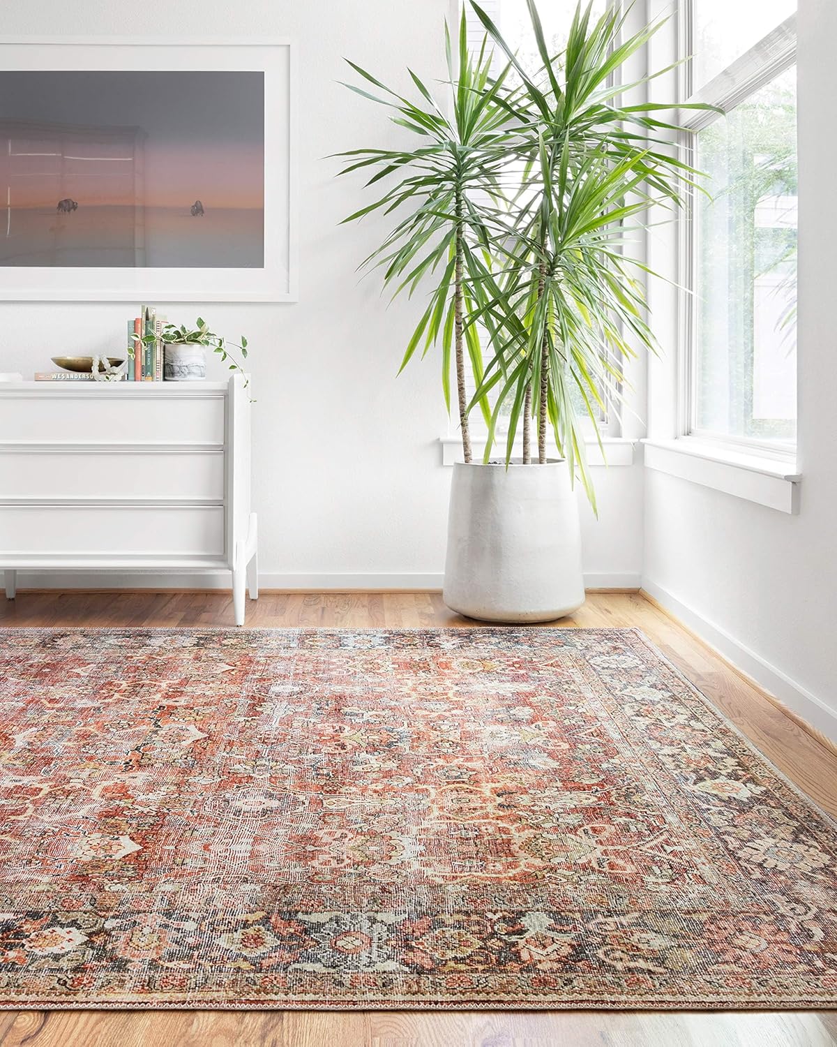 Loloi Layla Collection Vintage Inspired Area Rug for Living Room