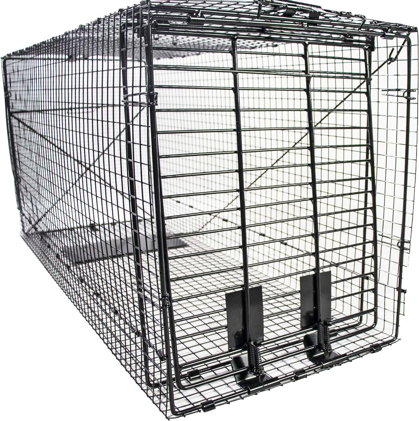 Humane Way Folding 50 Inch Live Animal Trap for Safe Capture