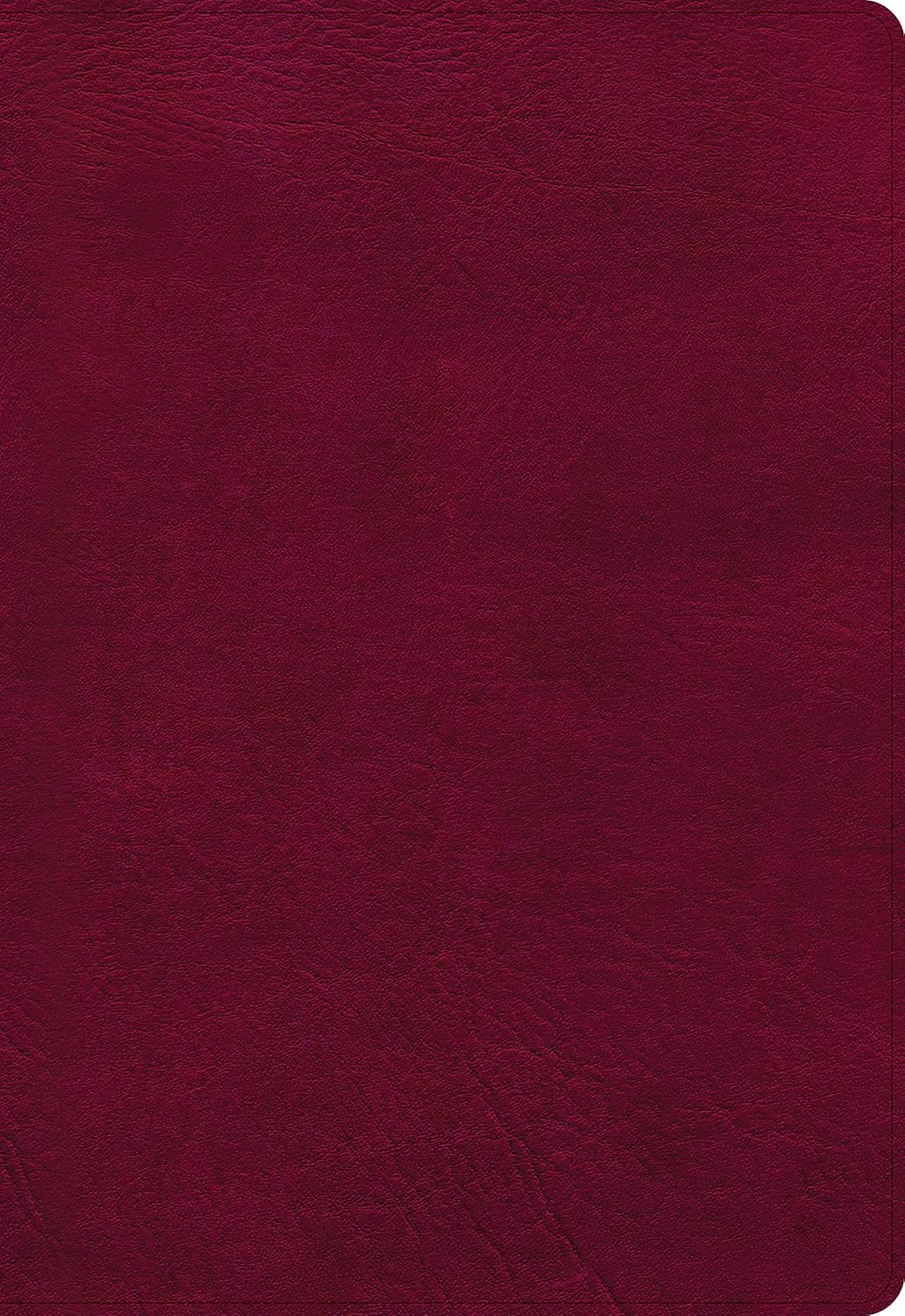 NASB Super Giant Print Reference Bible with Burgundy LeatherTouch