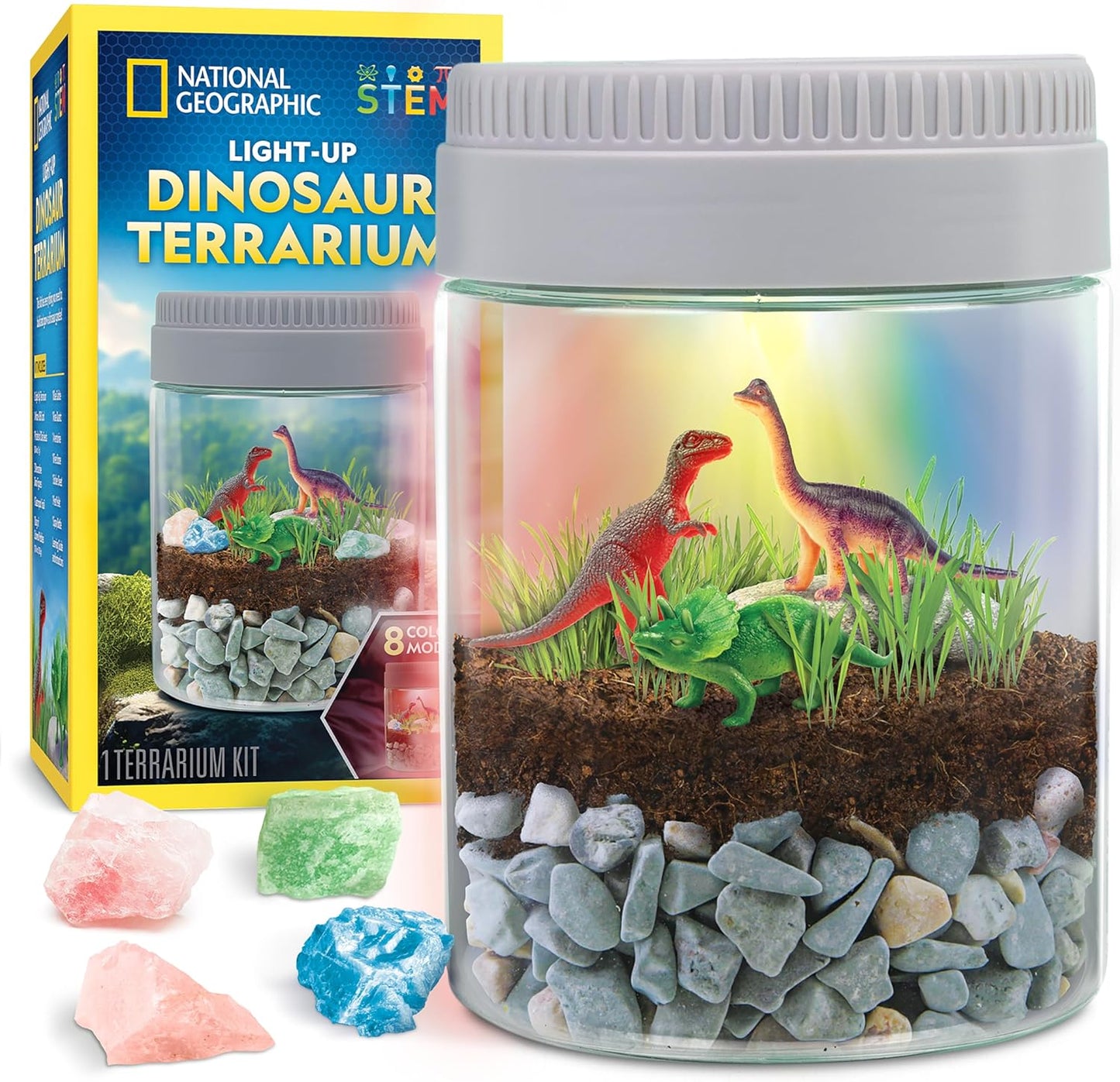 National Geographic Dino Terrarium - Light Up for Kids