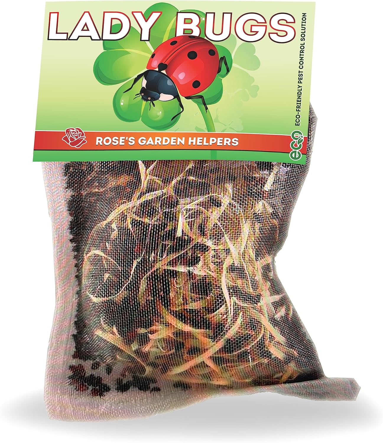 3000 Pre-Fed Live Ladybugs for Effective Aphid Control