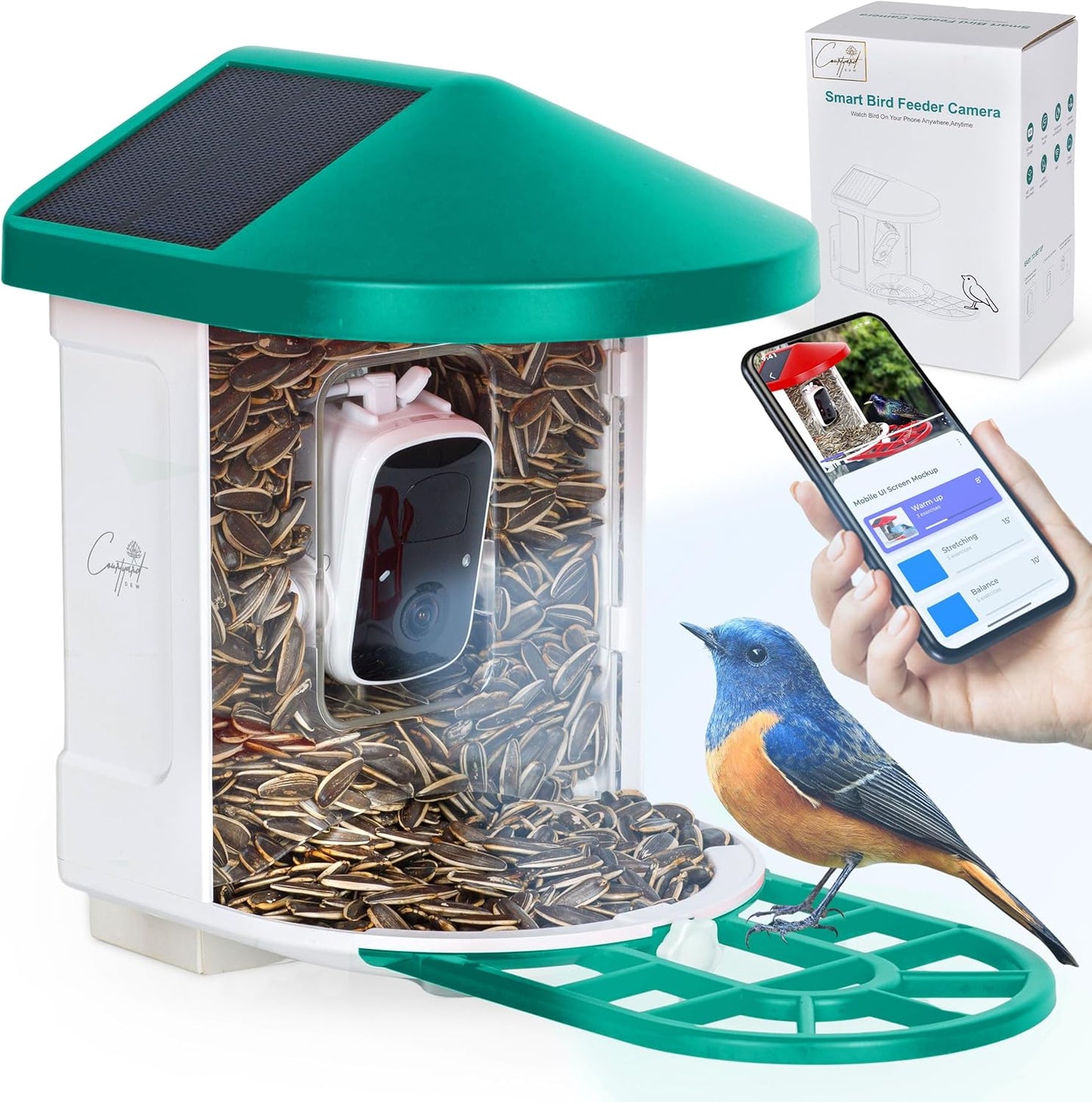 1080P Smart Bird Feeder: Solar Powered, Instant Alerts, Ideal Gift
