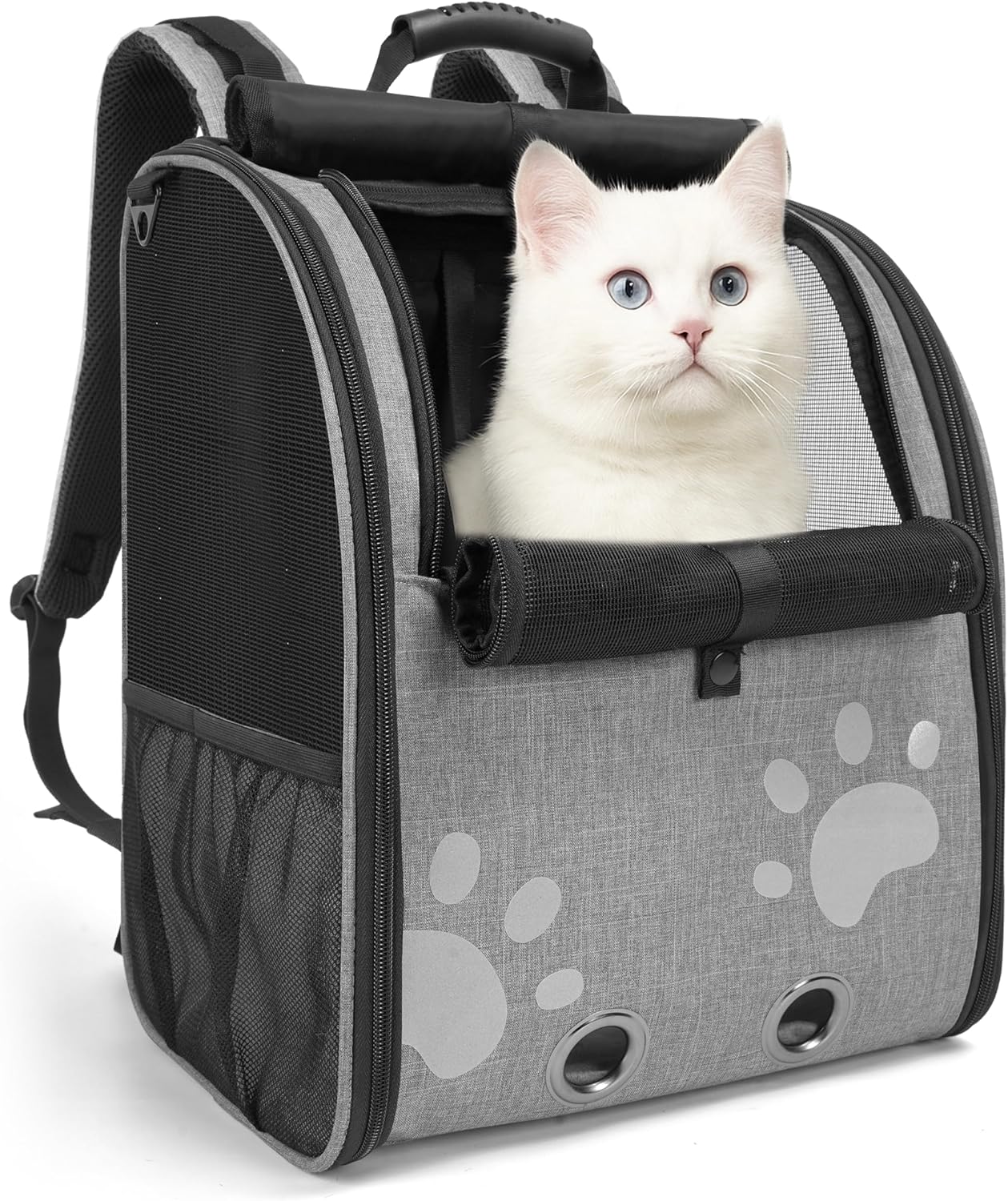 Comfortable Cat Backpack Carrier for Safe Outdoor Adventures