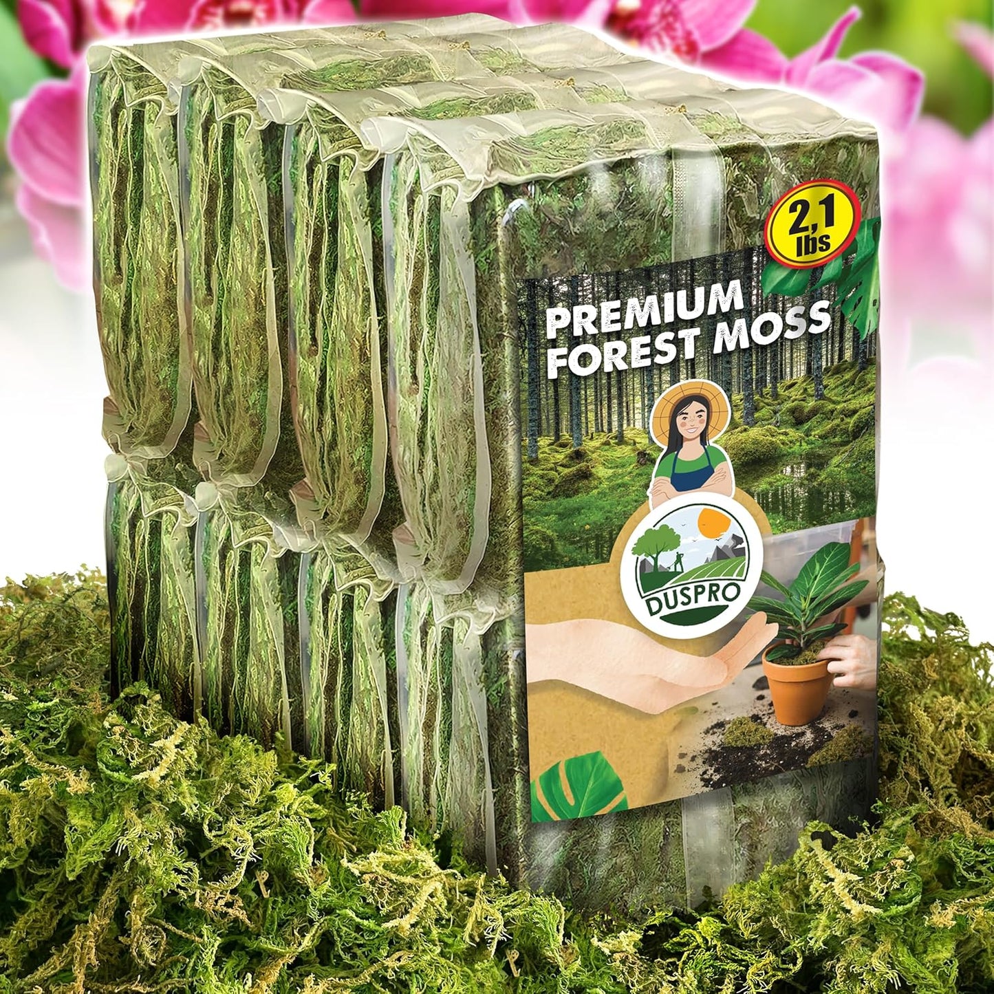 DUSPRO Dried Moss for Potted Plants - Ideal for Indoor Use