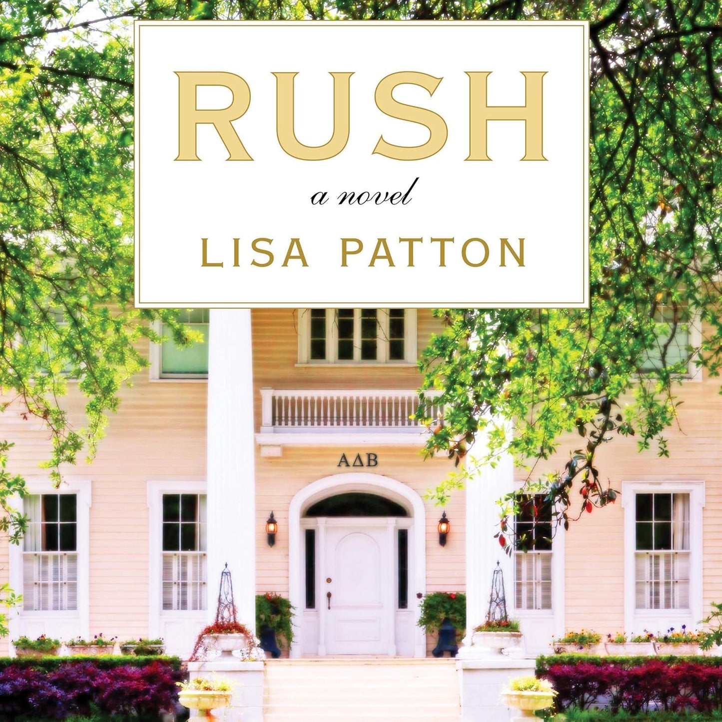 Rush: A Novel by Lisa Patton - A Captivating Southern Tale