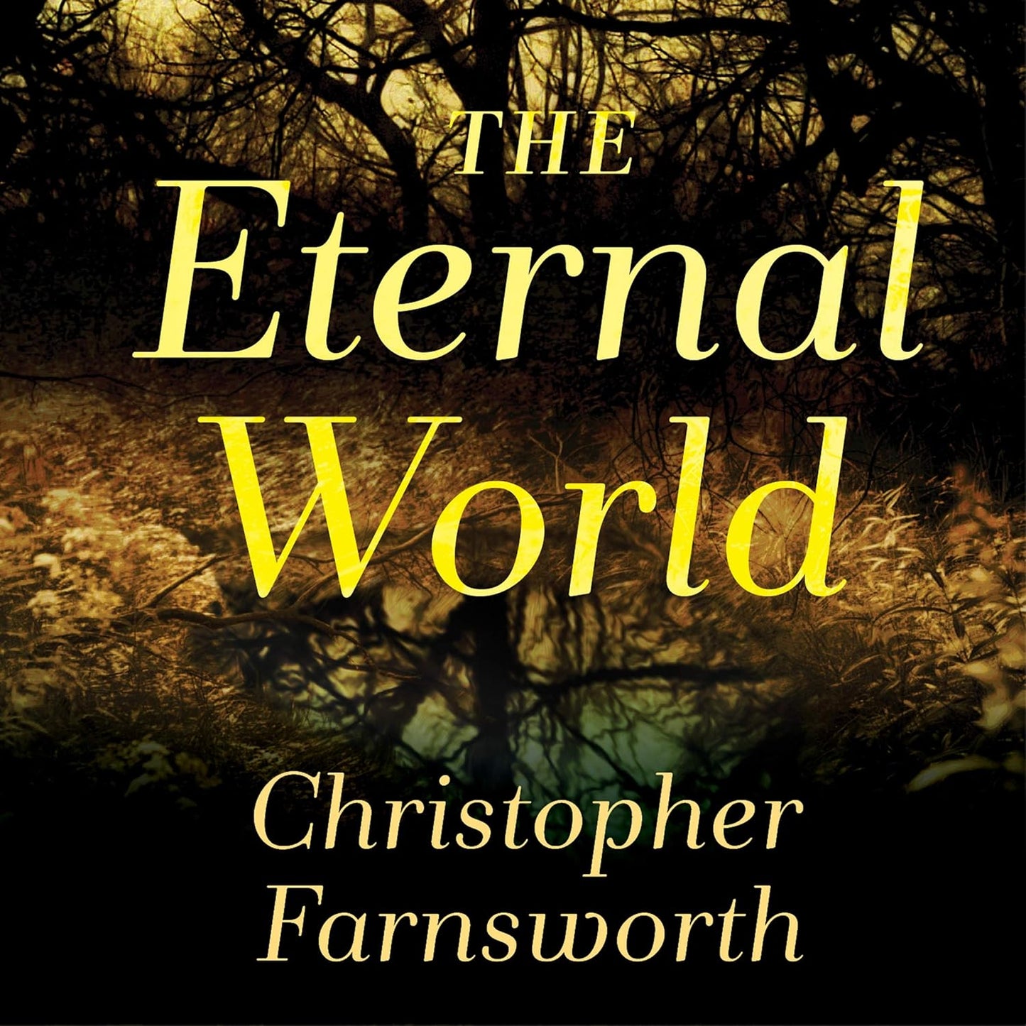 The Eternal World: A Gripping Novel by Christopher Farnsworth
