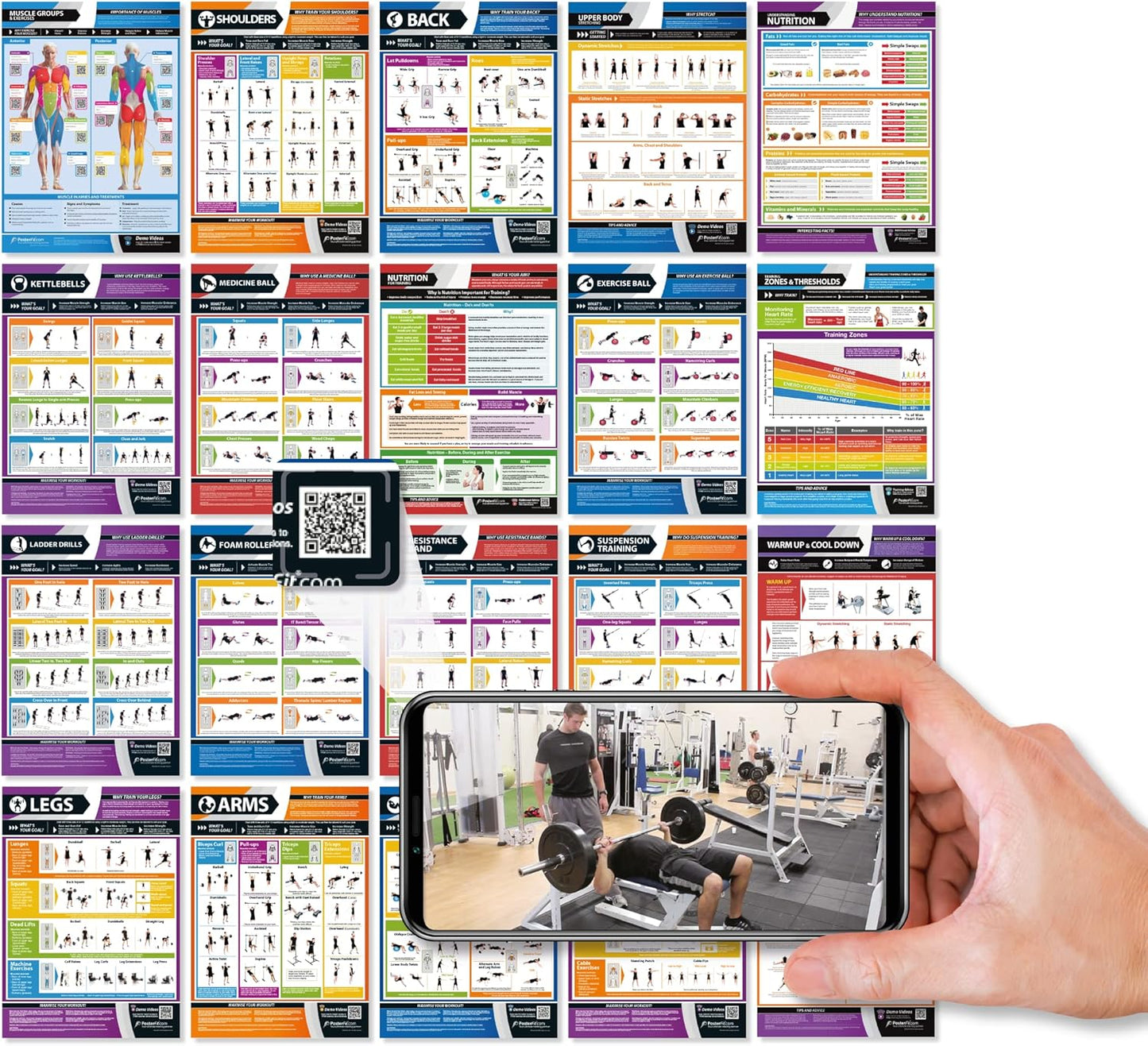 Ultimate Home Gym Muscle Group Poster Set - Free Video Training | 24x16.5 20-Piece Laminated Chart