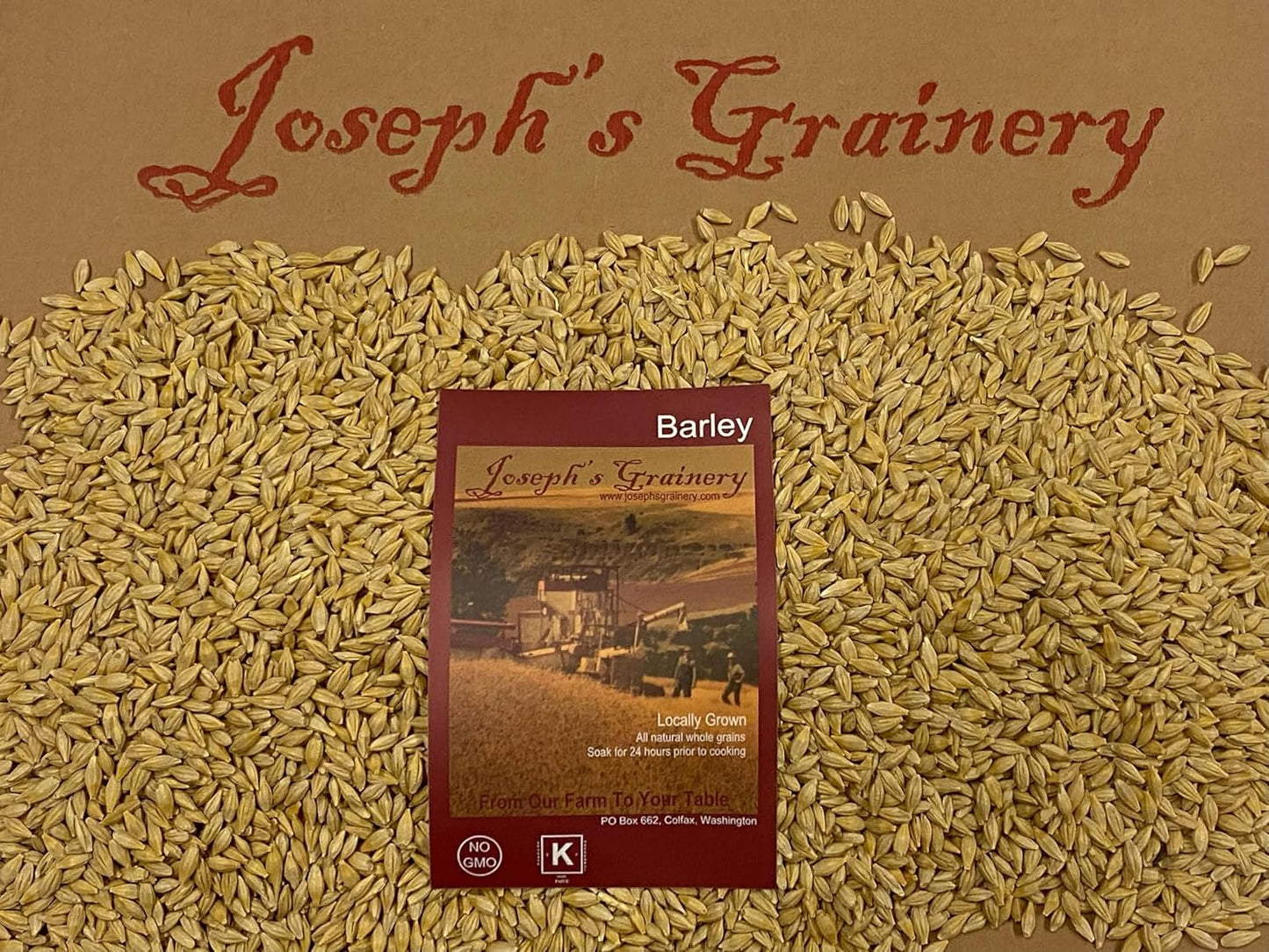 Unhulled Barley 12 Lbs - Non-GMO, Kosher Certified Grain