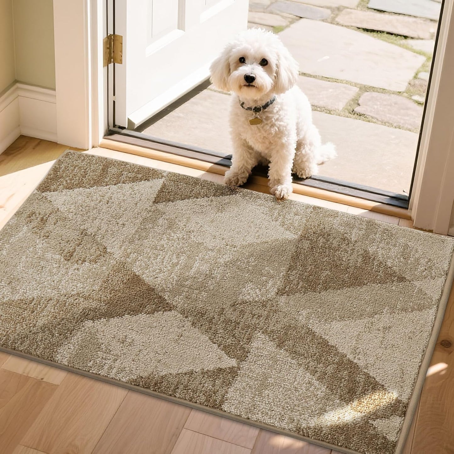 COSY HOMEER Entryway Rugs Doormat for High Traffic Areas