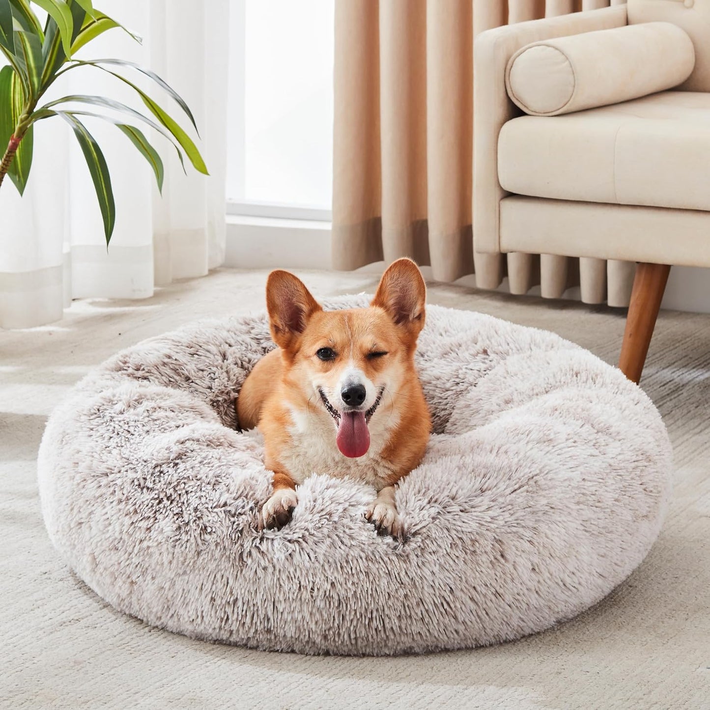 Calming Dog & Cat Bed by Western Home WH for Cozy Comfort
