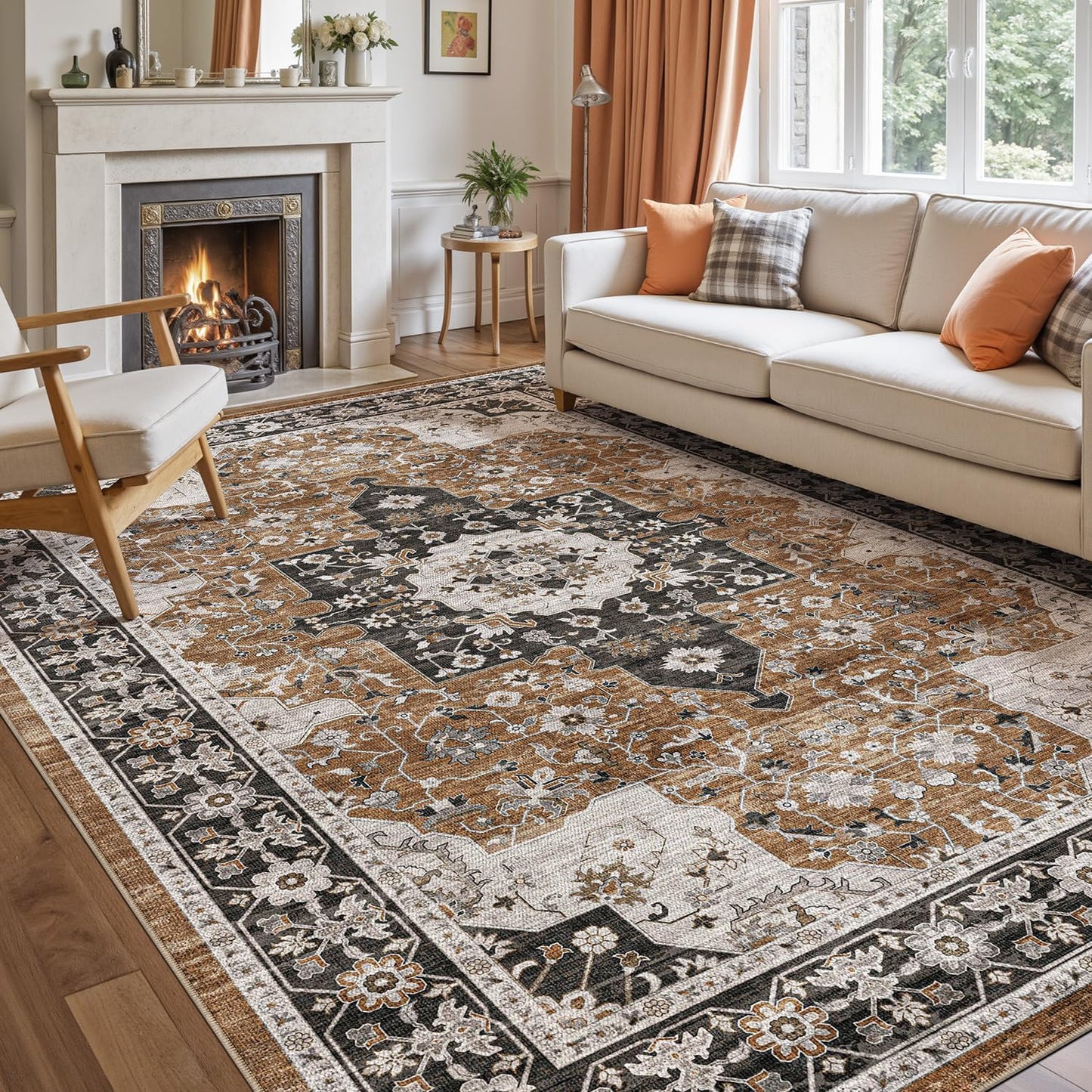 DEXI Area Rugs for Living Room - Vintage Traditional 4x6 Rug
