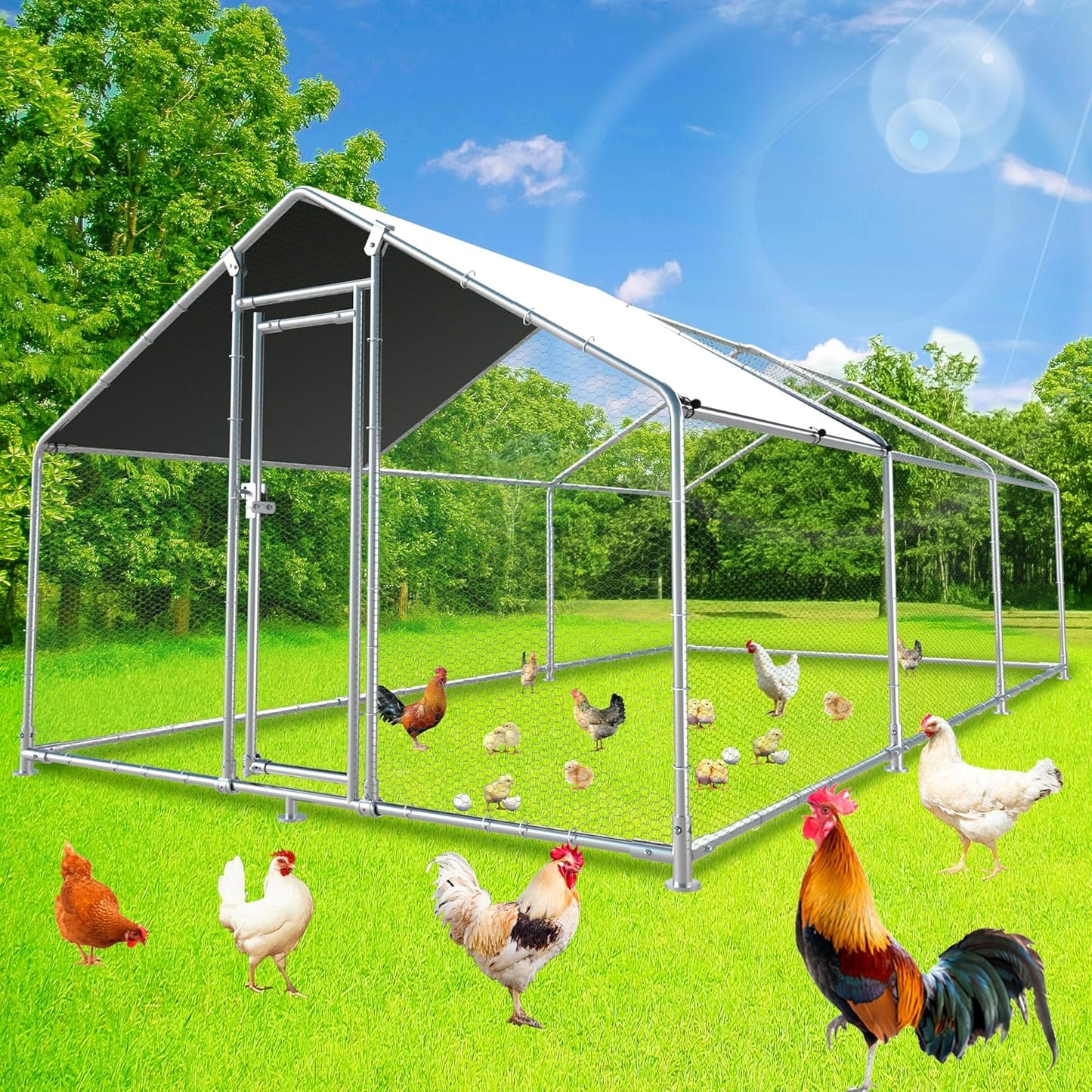 Spacious Metal Chicken Coop W/ Run & Feeding Door