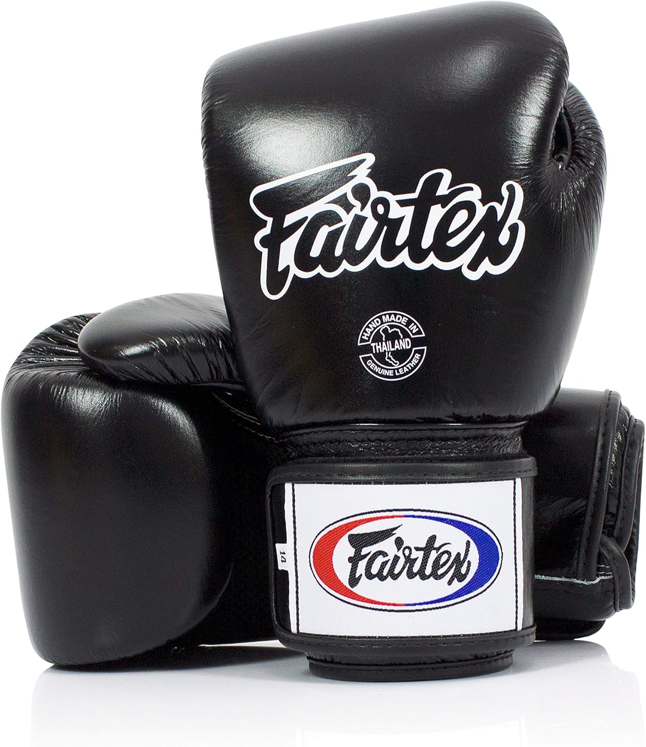 Fairtex BGV1BR Muay Thai Boxing Gloves for All Ages & Skills