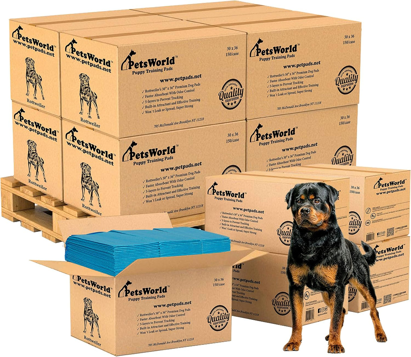 PetsWorld XL Dog Pee Pads for Large Dogs and Puppies, 30x36