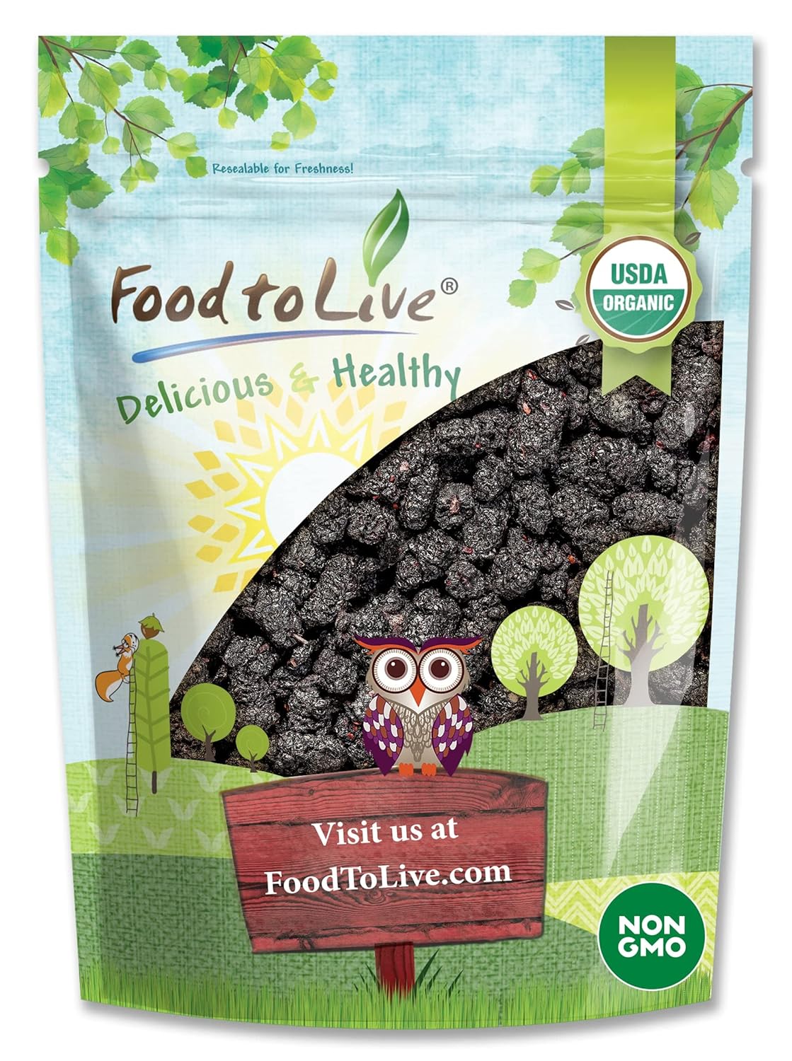 Organic Dried Black Mulberries for Healthy Snacking and Desserts