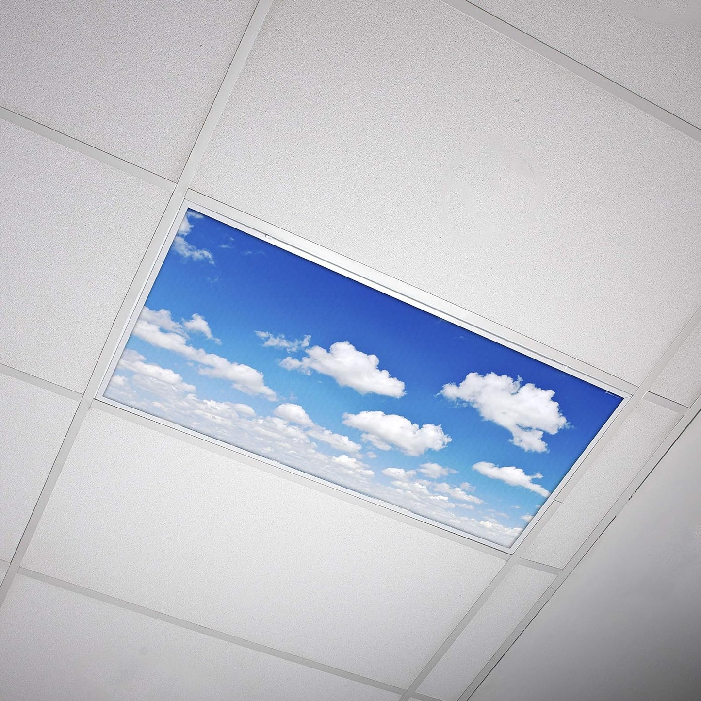 Fluorescent Light Cover for Classroom by OCTO LIGHTS