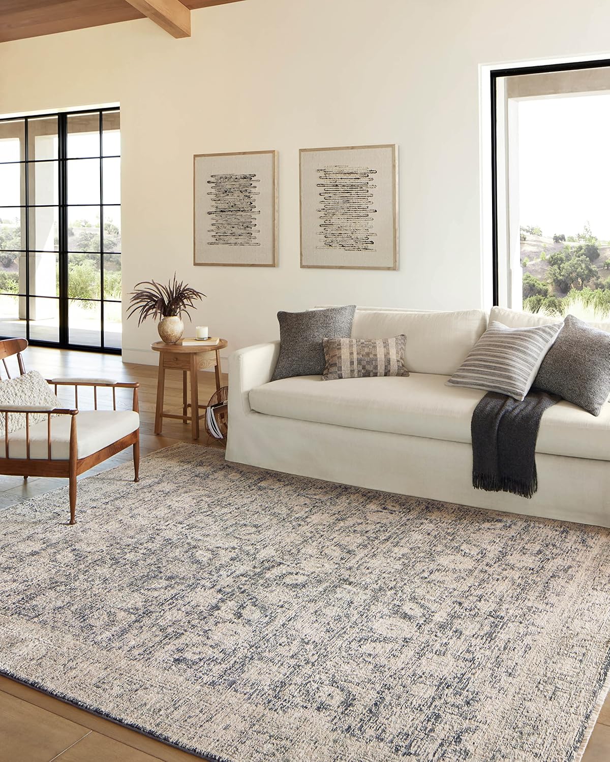Loloi Alie Collection Charcoal/Beige Area Rug for Living Room