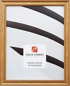 16x20 Picture Frame with Ornate Gold Finish for Wall Display