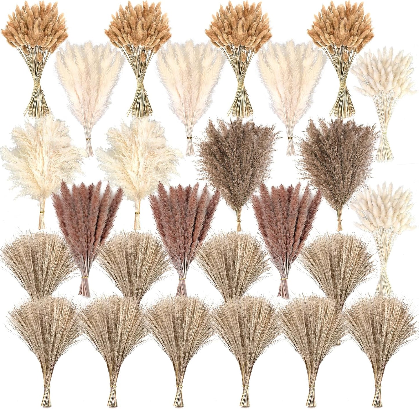 610 PCS Dried Pampas Grass Decor for Weddings and Home Styling