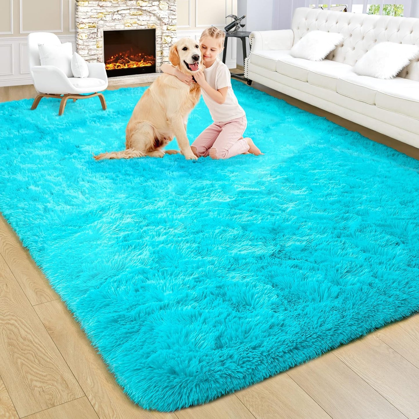 Noahas Fluffy Teal Blue Rug for Living Room, 6x9 Plush Shag