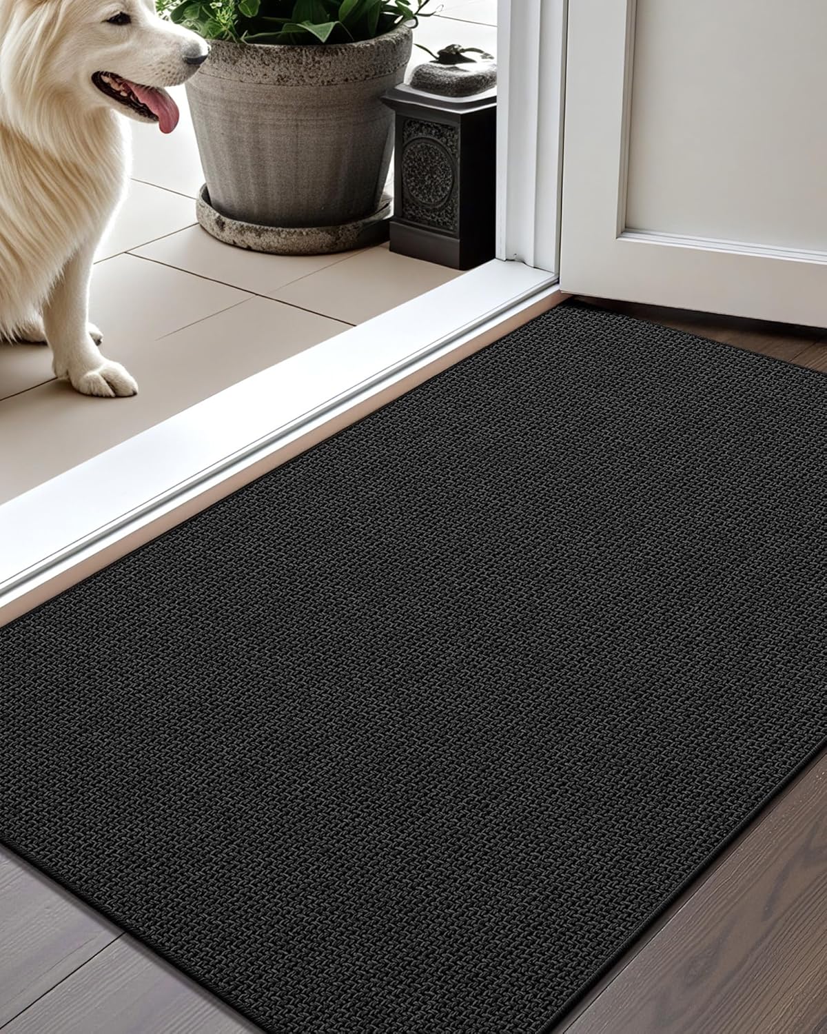 Color&Geometry Thin Door Mat Indoor Non Slip Rubber Backed 24x36