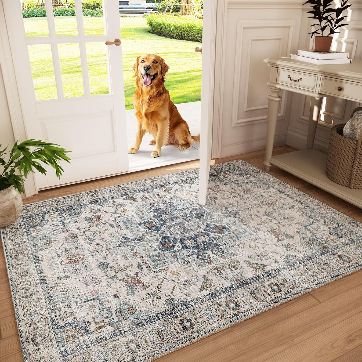 Machine Washable Throw Rugs for Entryway: Soft Non-Slip Carpet