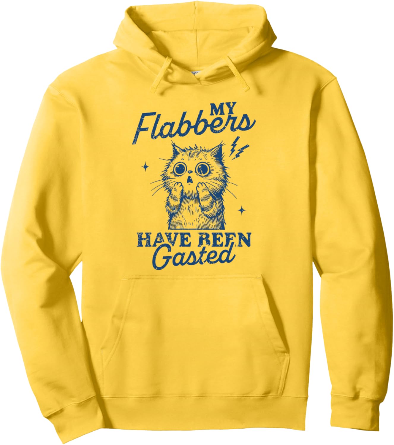 Funny Cat Distressed Hoodie - Flabbers Gasted!