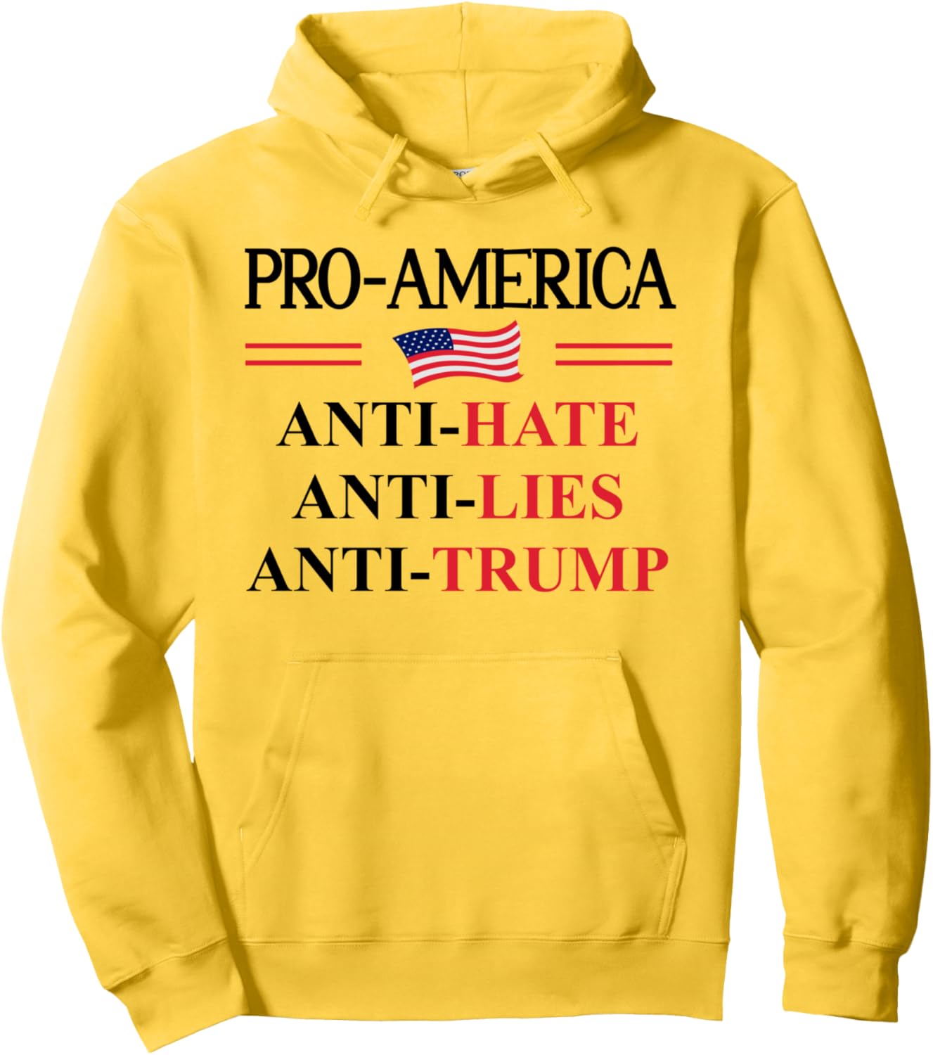Resistance Flag Hoodie - Pro America, Anti Lies!
