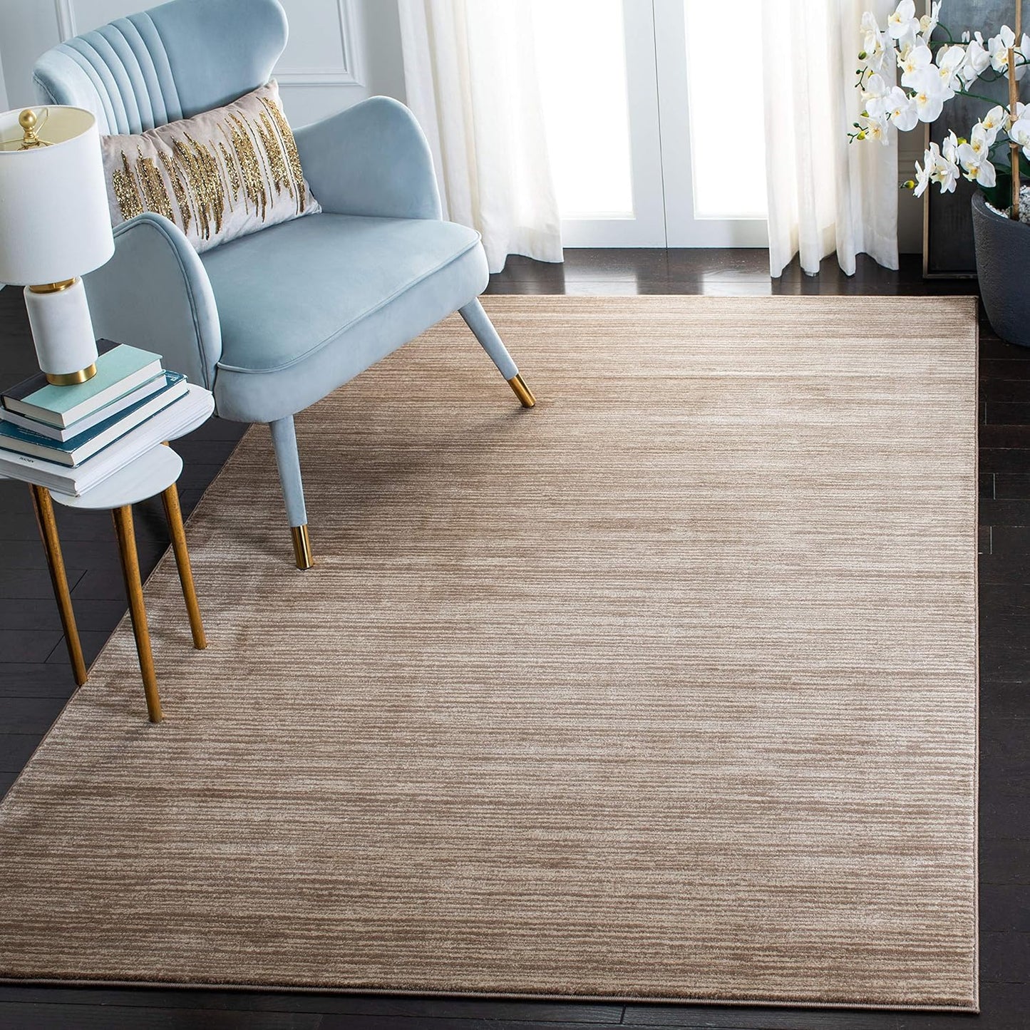 SAFAVIEH Vision Collection Area Rug - Modern Ombre Chic Design