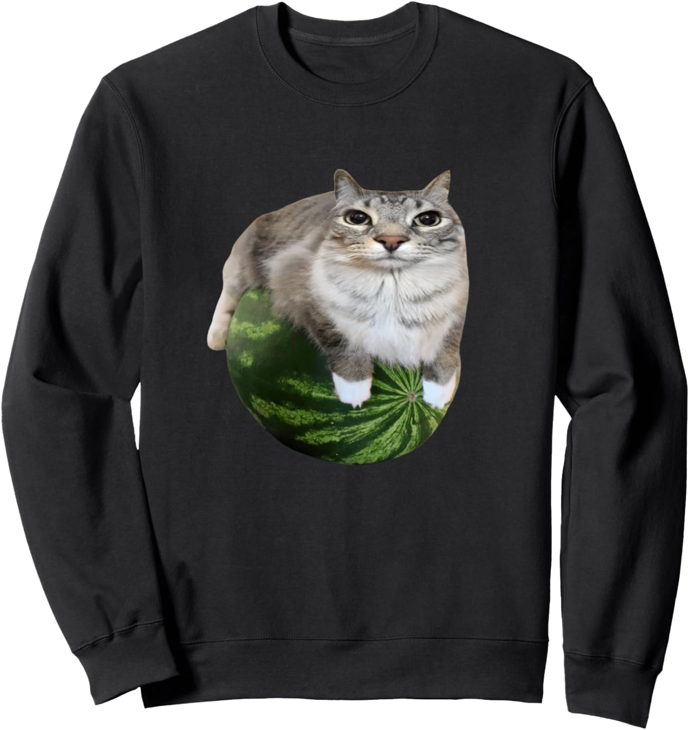 Silly Cat Meme Sweatshirt