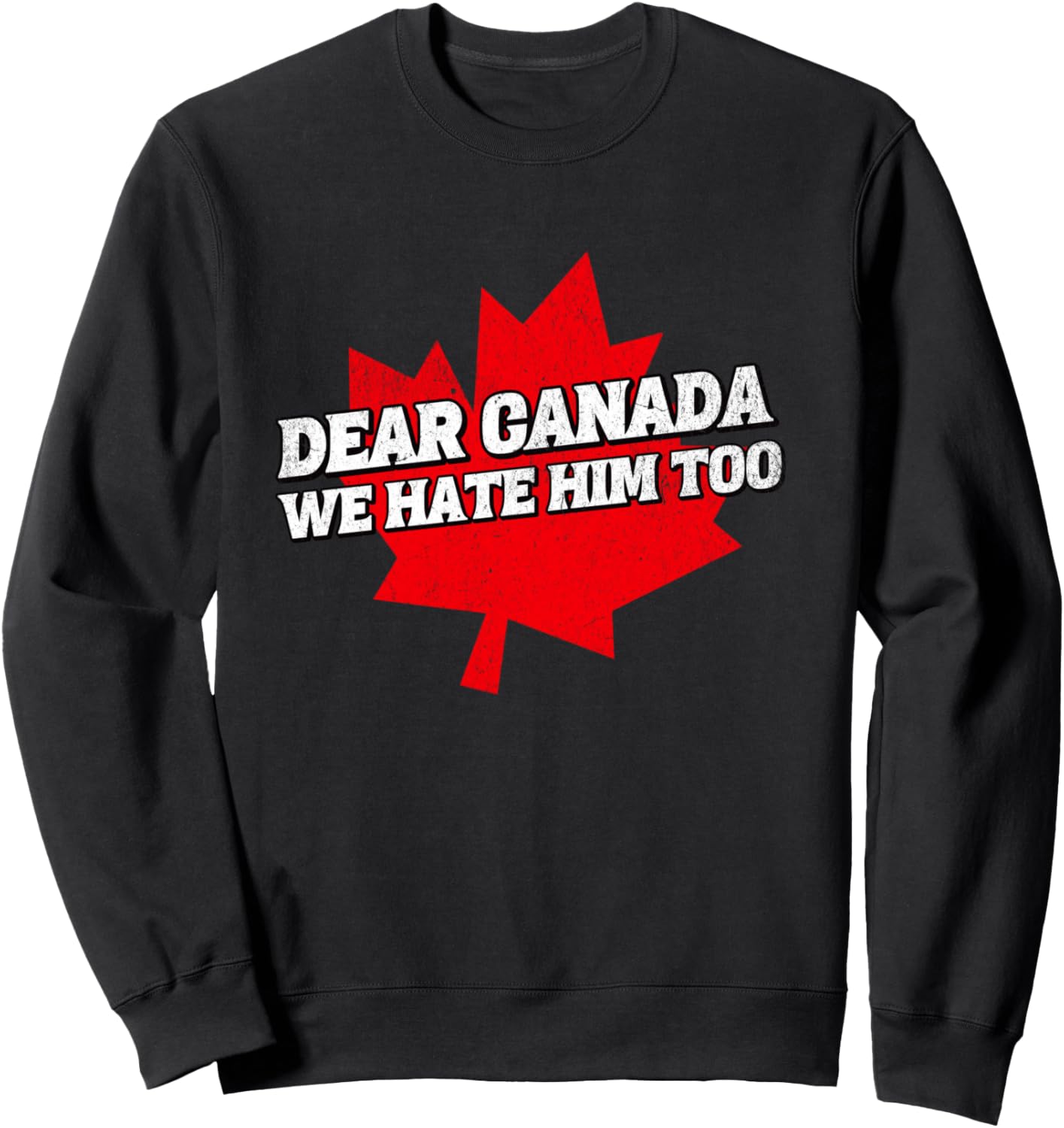 USA Protest Flag Tee: Dear Canada, We Hate Him Too