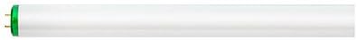 Philips 40W 48in T12 Cool White Fluorescent Tube for Brightness