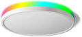 TALOYA Alexa Ceiling Light Smart 15.8 in Dimmable Flush Mount - RGBW