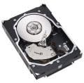 Seagate 300GB 15K RPM 3.5in Hot Swap Mechanical Hard Disk